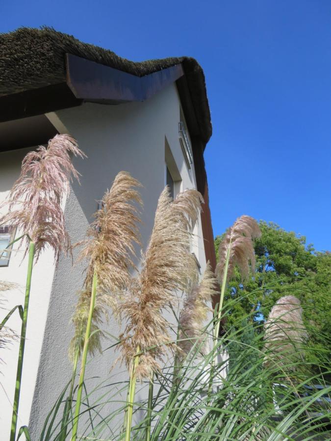 Apartamento Boddenhaus Darss Wieck Exterior foto
